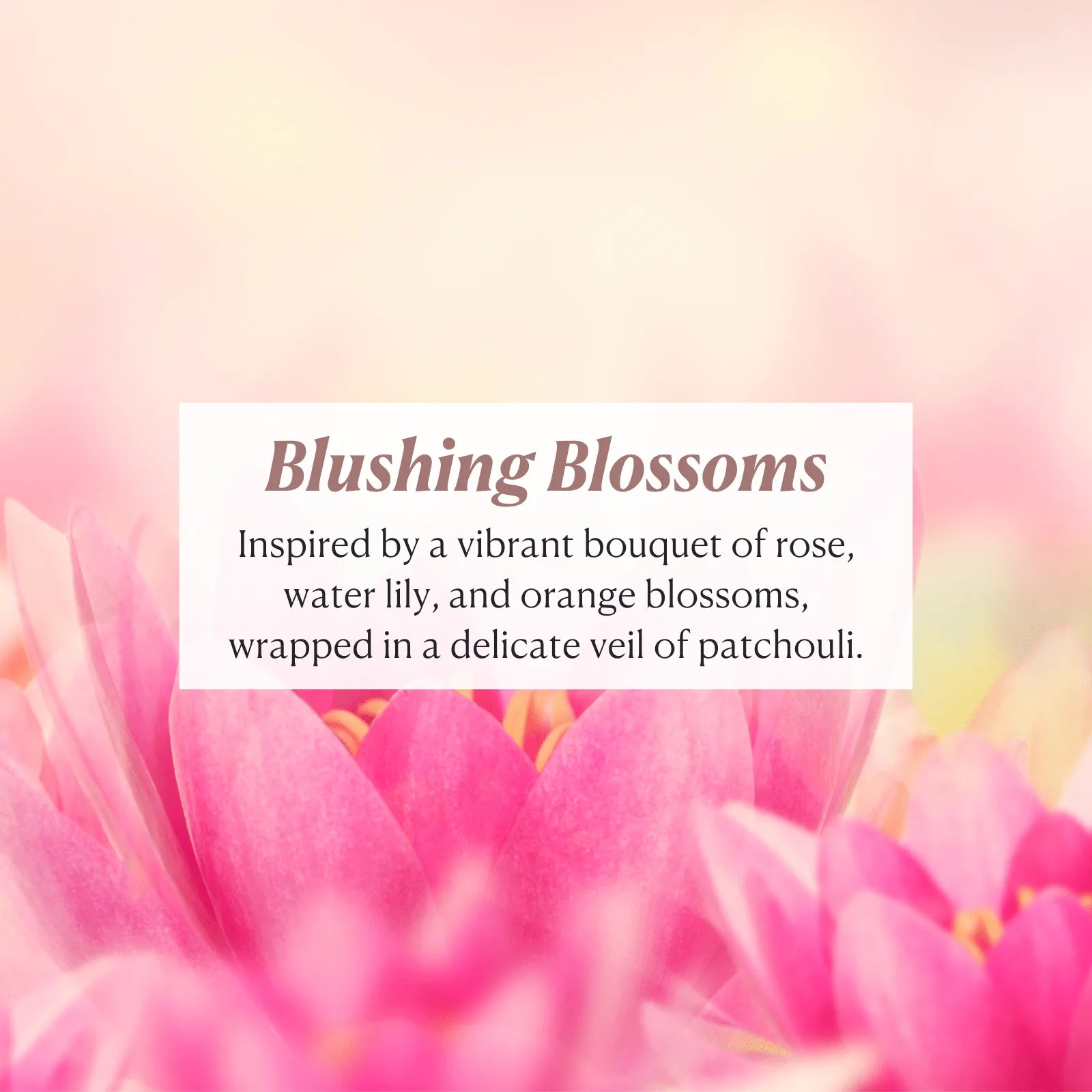 cleanse-firm-tighten-2-piece-butter-wash-1l-bundle