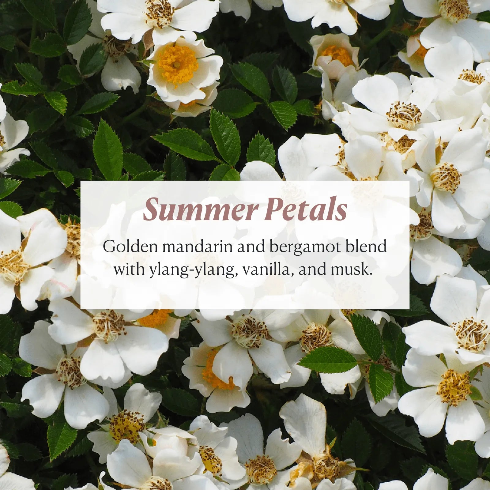 Peptide-Infused Flower Soap - Nakery Beauty