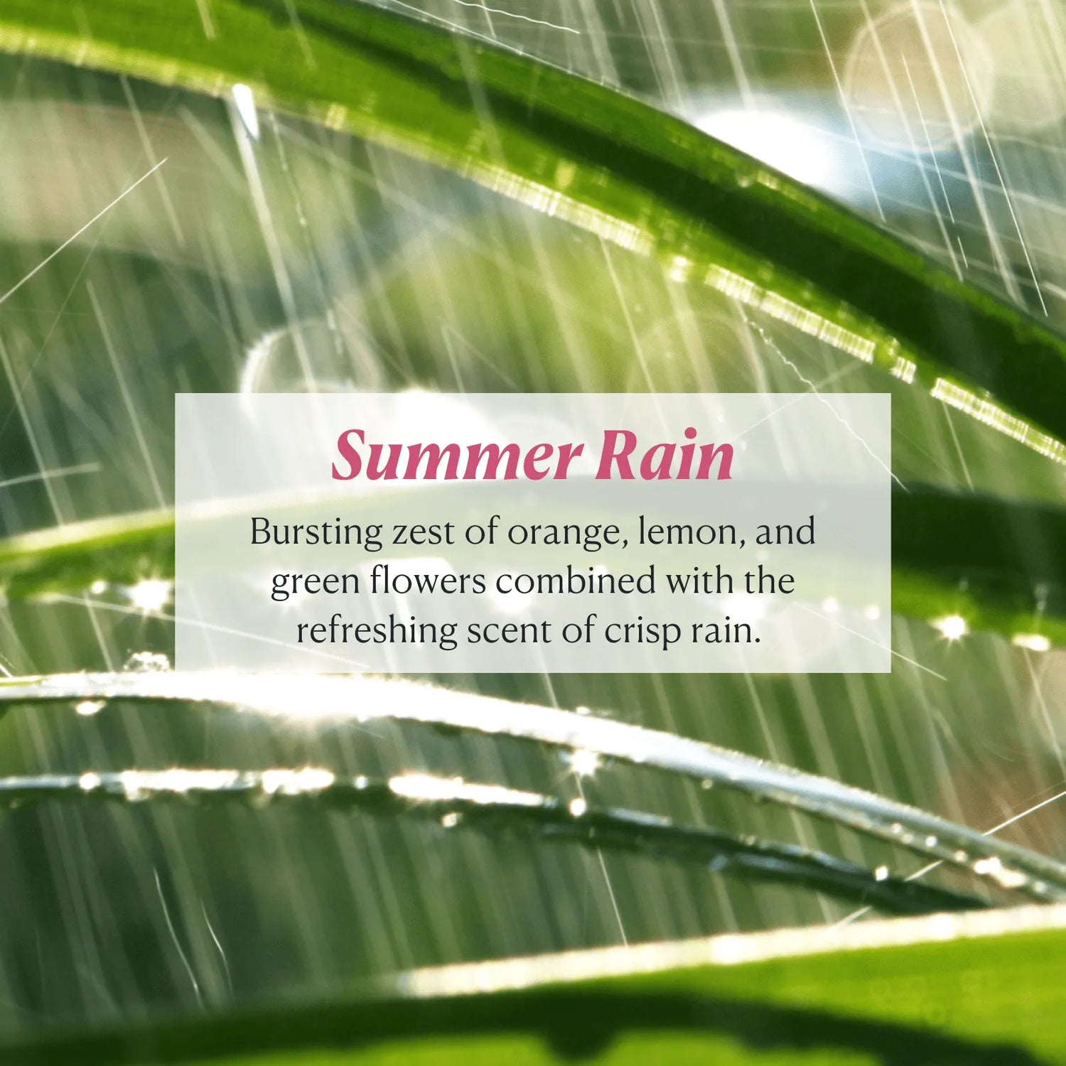 SkinRenew Face, Body + Hair Wash