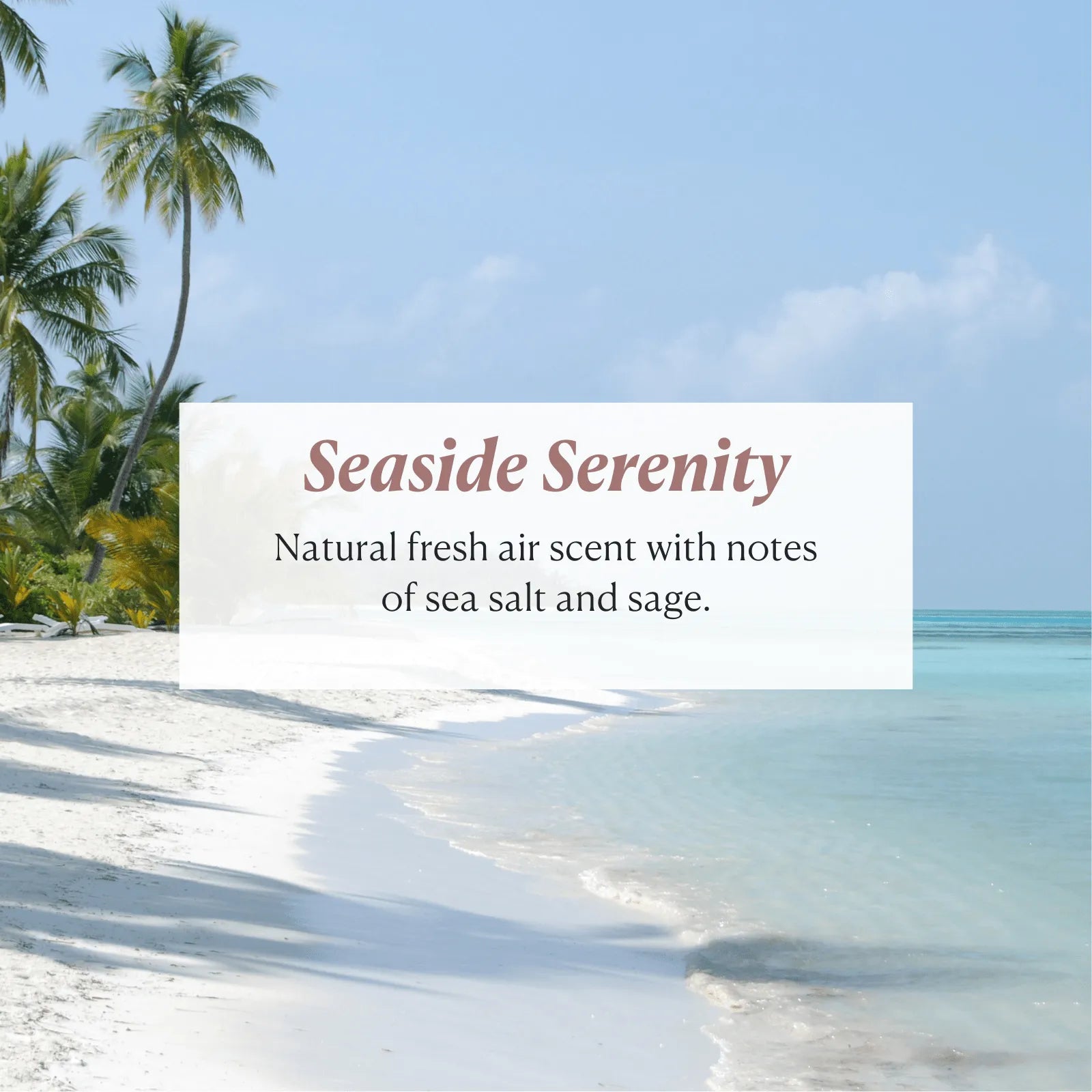 SkinRenew Face, Body + Hair Wash