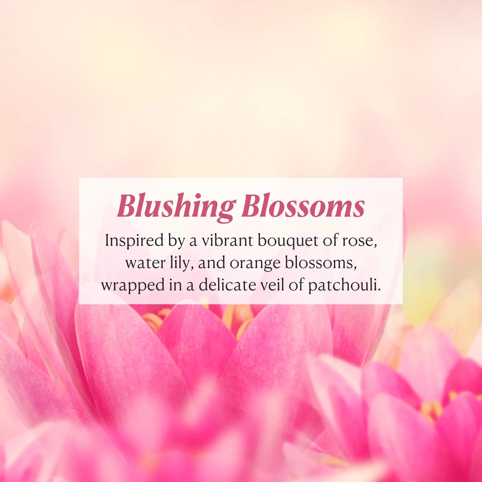 SkinRenew Face, Body + Hair Wash