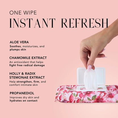 Nakery Beauty Soothing Moisture Wipes featuring aloe vera, chamomile extract, holly and radix stemonae extract, and propanediol for soothing and hydrating intimate skin.